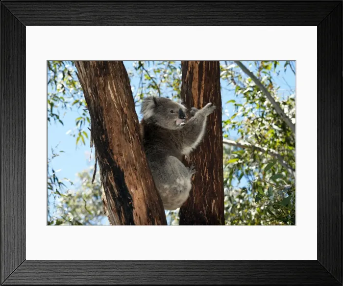Framed Print : Picture No. 10947472 Framed Print : Picture No. 10947472