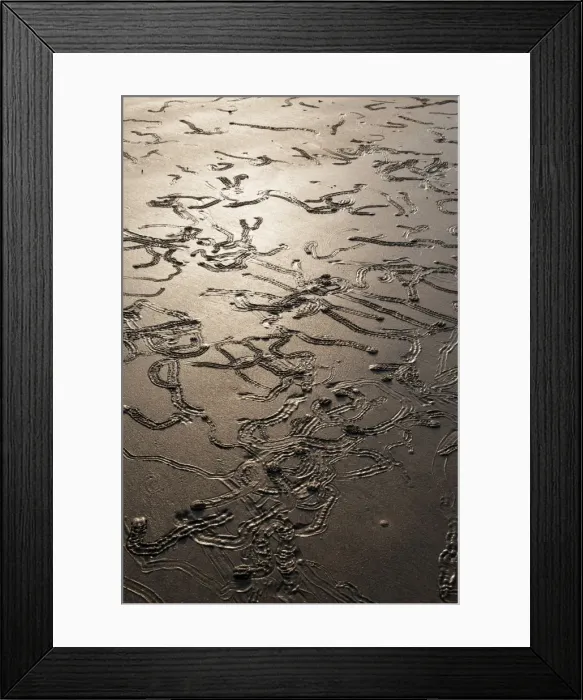 Framed Print : Picture No. 10947453 Framed Print : Picture No. 10947453