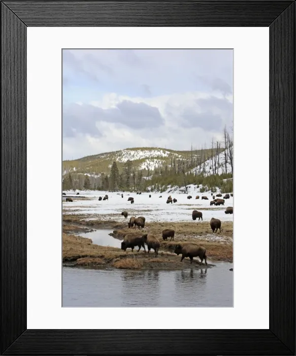 Framed Print : Picture No. 10947617