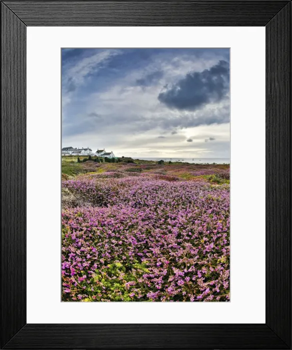 Framed Print : Picture No. 10947822 Framed Print : Picture No. 10947822