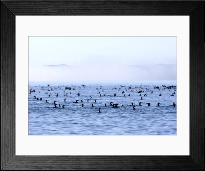 Framed Print : Picture No. 10947681 Framed Print : Picture No. 10947681