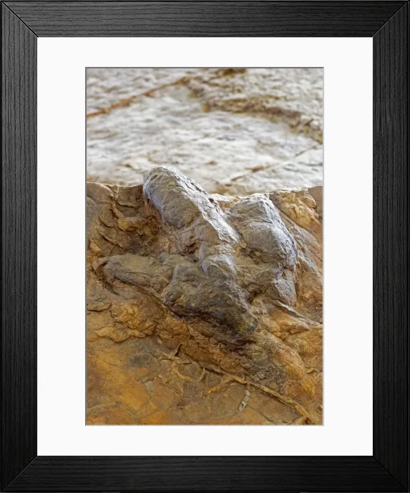 Framed Print : Picture No. 10947713 Framed Print : Picture No. 10947713