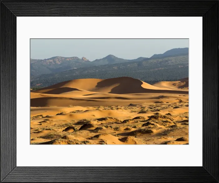 Framed Print : Picture No. 10947708 Framed Print : Picture No. 10947708