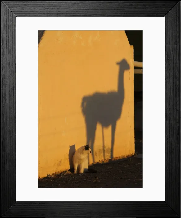 Framed Print : Picture No. 10947589