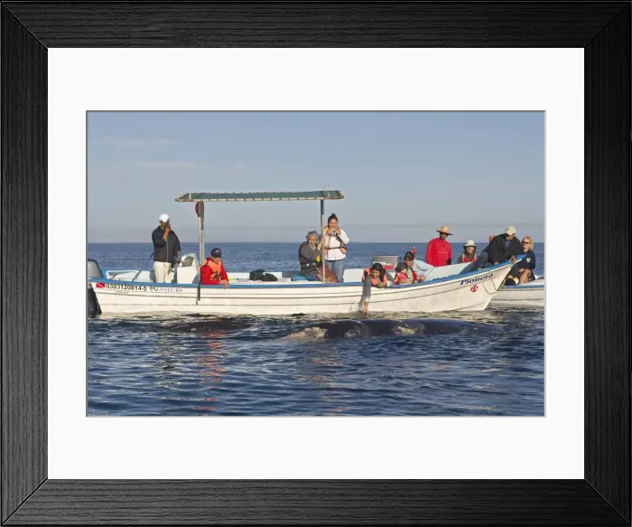 Framed Print : Picture No. 10947673 Framed Print : Picture No. 10947673