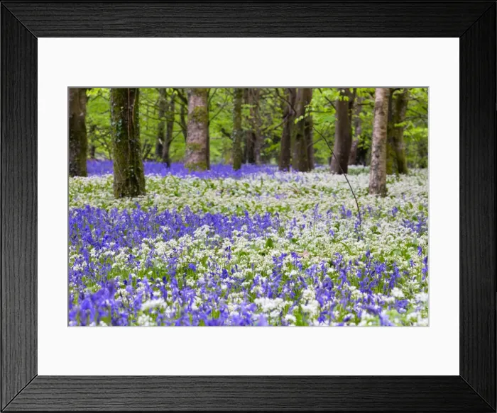 Framed Print : Picture No. 10947828 Framed Print : Picture No. 10947828