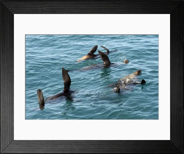 Framed Print : Picture No. 10947491 Framed Print : Picture No. 10947491