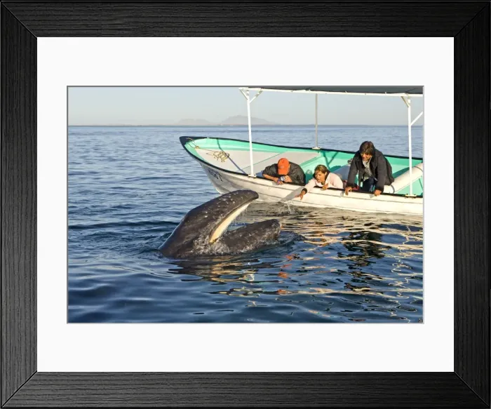 Framed Print : Picture No. 10947678