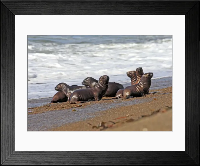 Framed Print : Picture No. 10947608 Framed Print : Picture No. 10947608
