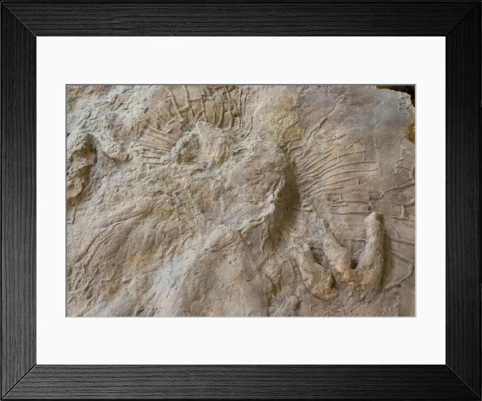 Framed Print : Picture No. 10947715 Framed Print : Picture No. 10947715