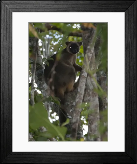 Framed Print : Picture No. 10947495 Framed Print : Picture No. 10947495