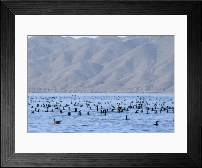 Framed Print : Picture No. 10947680 Framed Print : Picture No. 10947680