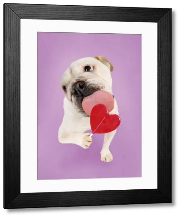 Framed Print : Picture No. 10947884 Framed Print : Picture No. 10947884