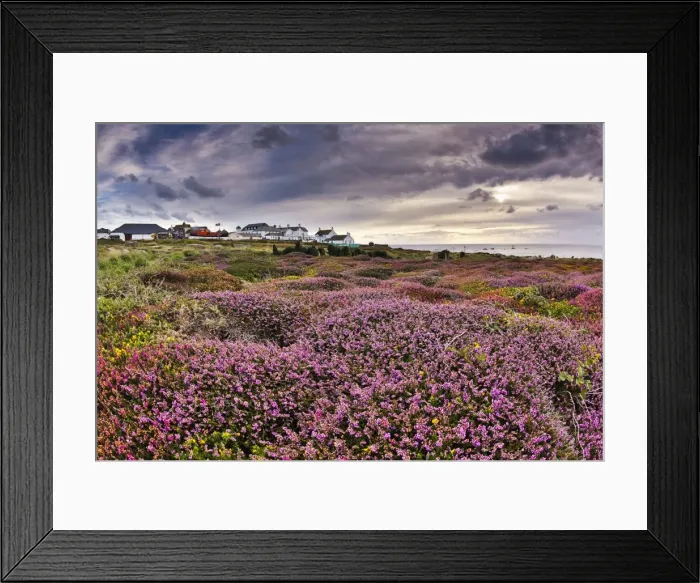 Framed Print : Picture No. 10947821 Framed Print : Picture No. 10947821