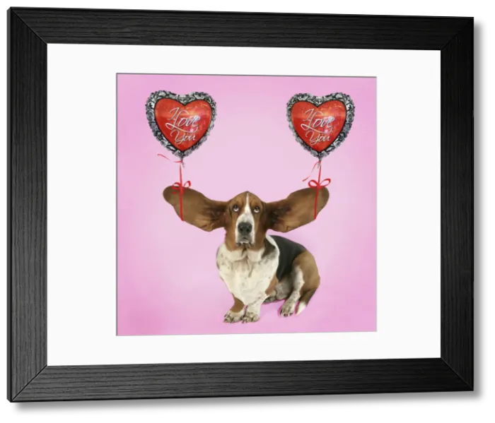 Framed Print : Picture No. 10947880 Framed Print : Picture No. 10947880