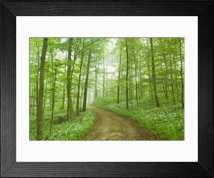 Framed Print : Picture No. 10896877 Framed Print : Picture No. 10896877