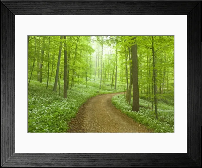 Framed Print : Picture No. 10896879 Framed Print : Picture No. 10896879