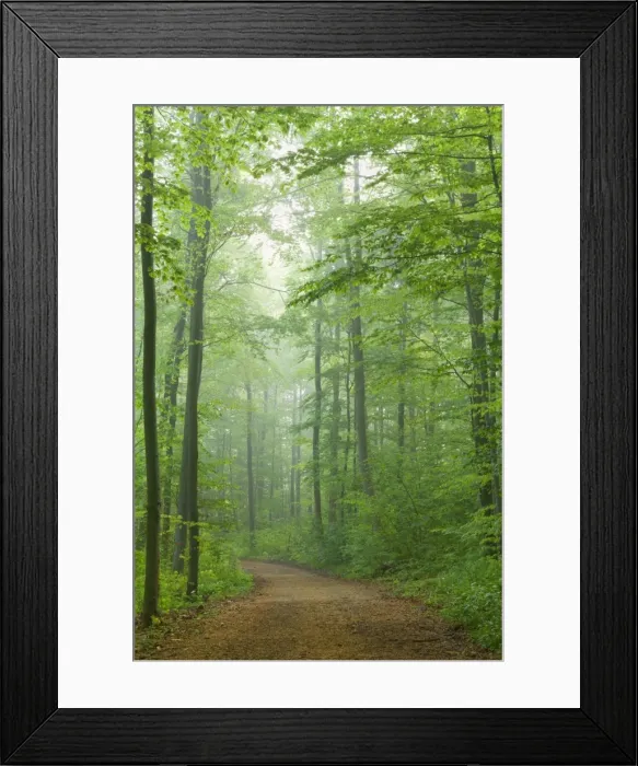 Framed Print : Picture No. 10896880 Framed Print : Picture No. 10896880