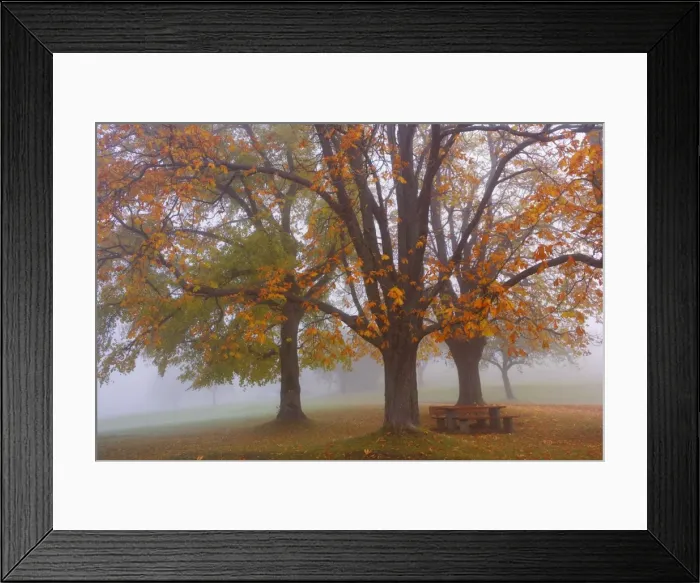 Framed Print : Picture No. 10896859 Framed Print : Picture No. 10896859