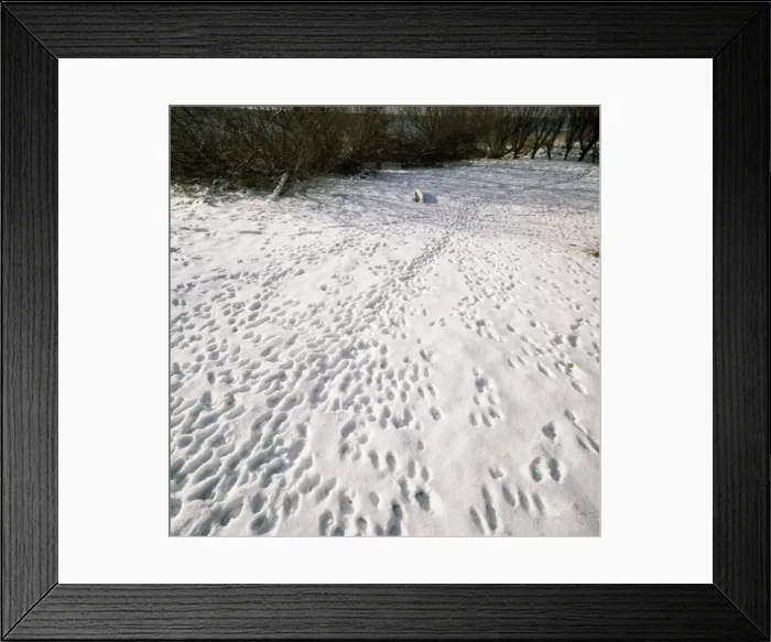 Framed Print : Picture No. 10732025 Framed Print : Picture No. 10732025