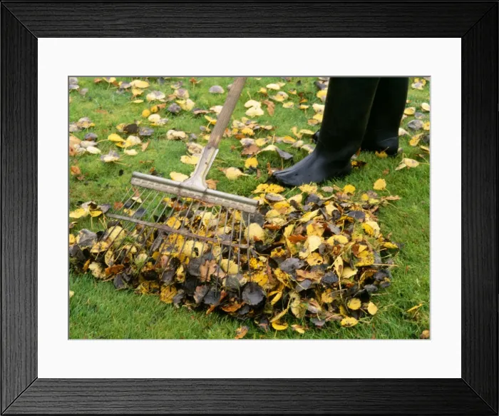 Framed Print : Picture No. 10732094 Framed Print : Picture No. 10732094