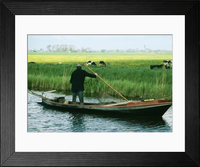 Framed Print : Picture No. 10732091 Framed Print : Picture No. 10732091