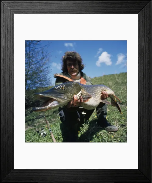 Framed Print : Picture No. 10732106 Framed Print : Picture No. 10732106