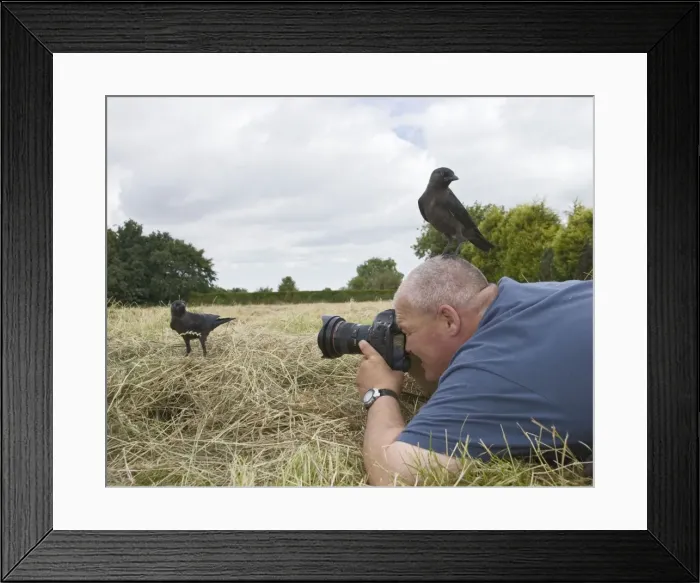 Framed Print : Picture No. 10732661 Framed Print : Picture No. 10732661