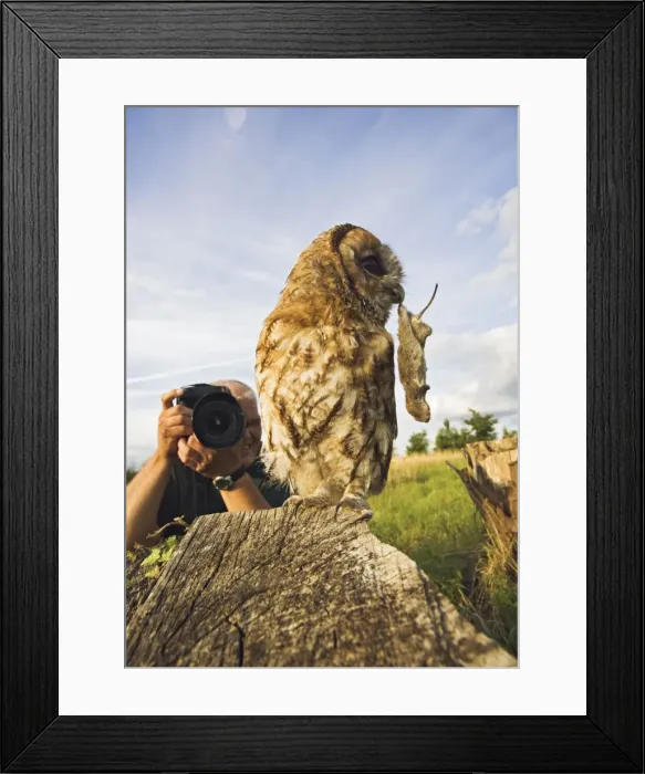 Framed Print : Picture No. 10732697 Framed Print : Picture No. 10732697