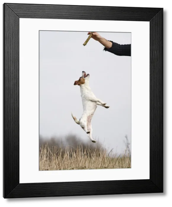 Framed Print : Picture No. 10732820 Framed Print : Picture No. 10732820