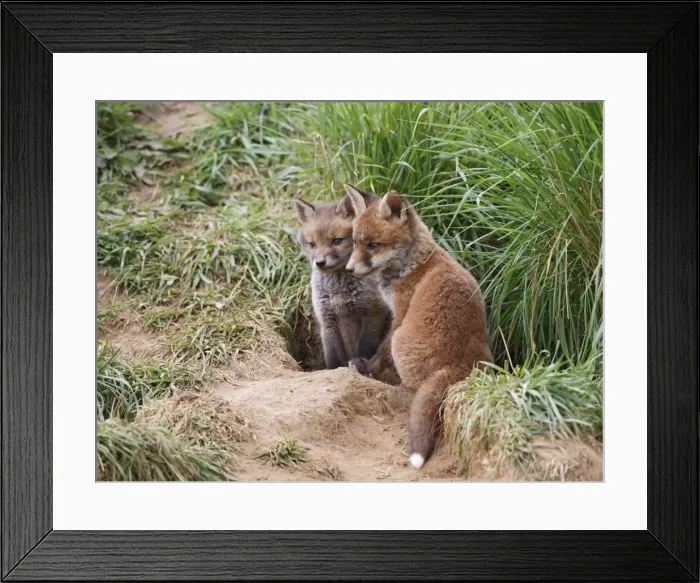 Framed Print : Picture No. 10733104 Framed Print : Picture No. 10733104