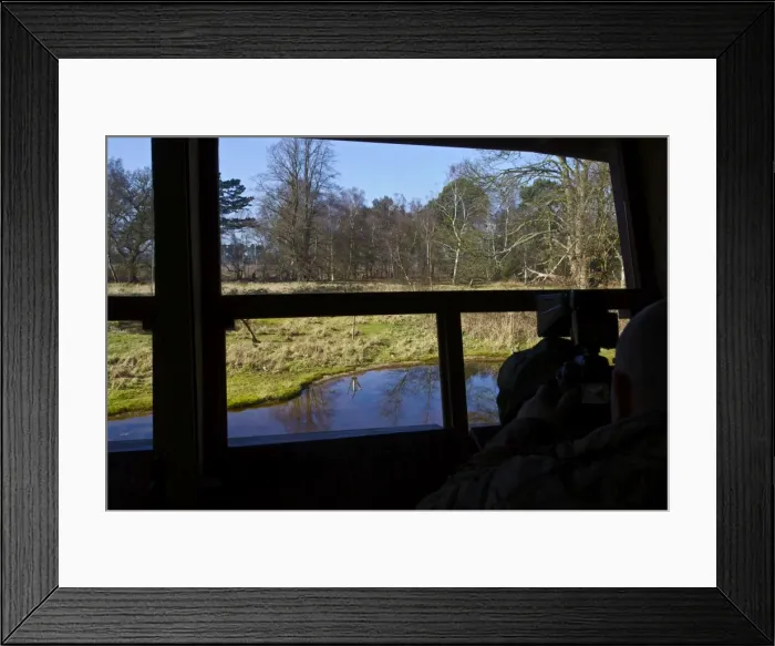 Framed Print : Picture No. 10733271 Framed Print : Picture No. 10733271