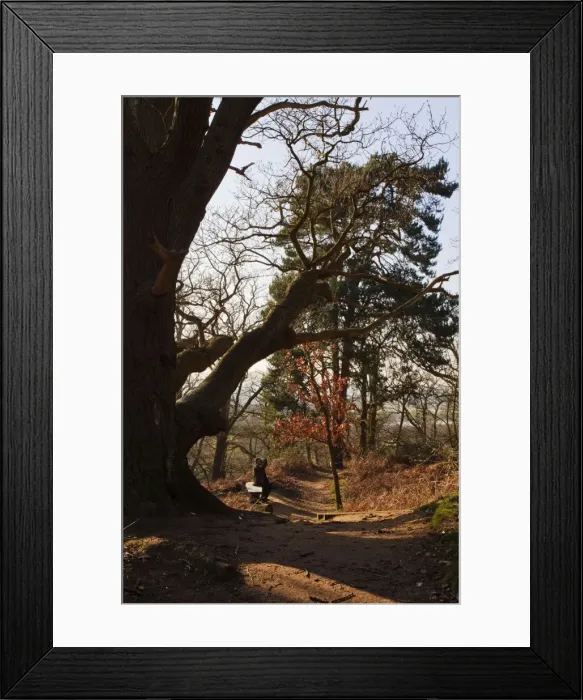 Framed Print : Picture No. 10733276 Framed Print : Picture No. 10733276