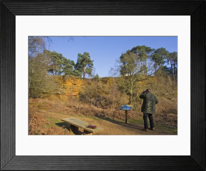 Framed Print : Picture No. 10733274 Framed Print : Picture No. 10733274