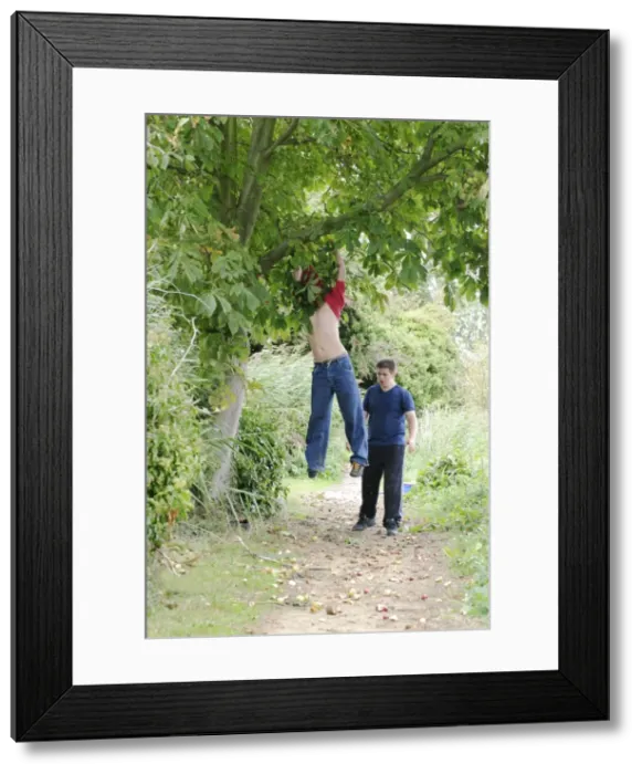 Framed Print : Picture No. 10734003 Framed Print : Picture No. 10734003