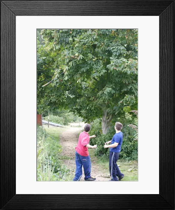 Framed Print : Picture No. 10734006