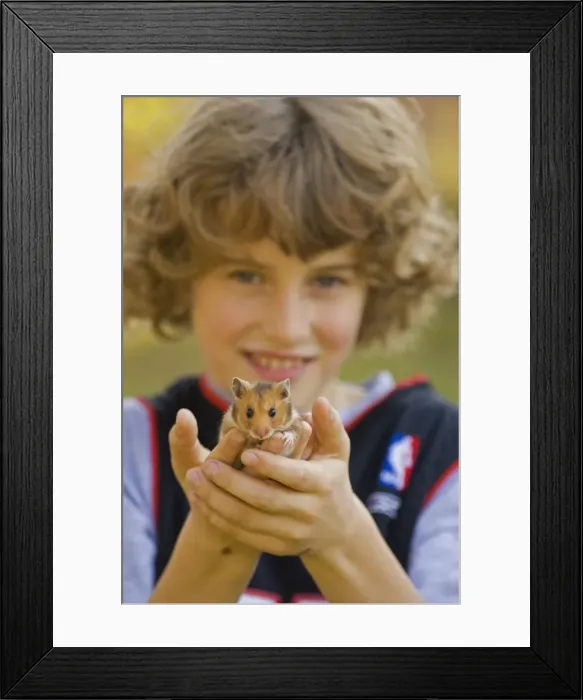 Framed Print : Picture No. 10735157 Framed Print : Picture No. 10735157