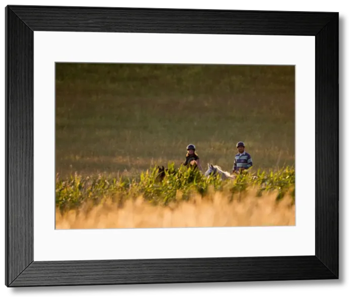 Framed Print : Picture No. 10733634 Framed Print : Picture No. 10733634