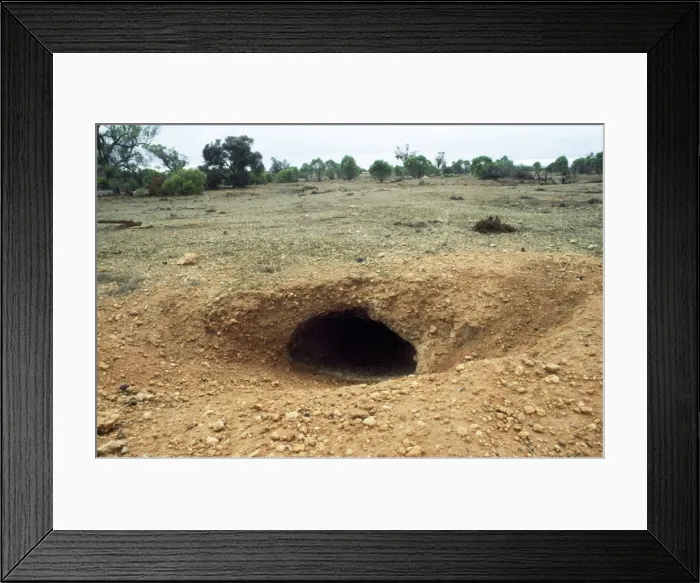 Framed Print : Picture No. 10734275 Framed Print : Picture No. 10734275