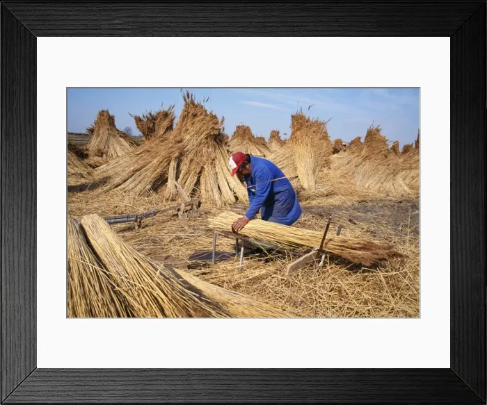Framed Print : Picture No. 10734305 Framed Print : Picture No. 10734305