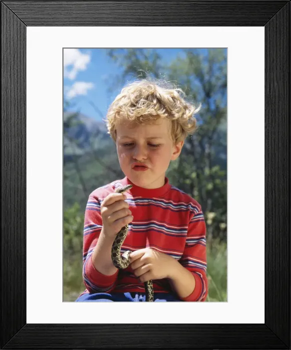 Framed Print : Picture No. 10734332 Framed Print : Picture No. 10734332