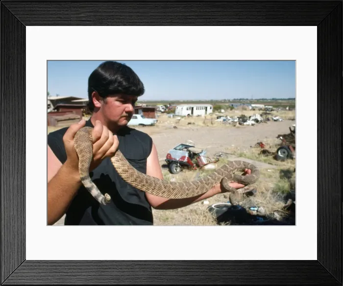 Framed Print : Picture No. 10734290 Framed Print : Picture No. 10734290