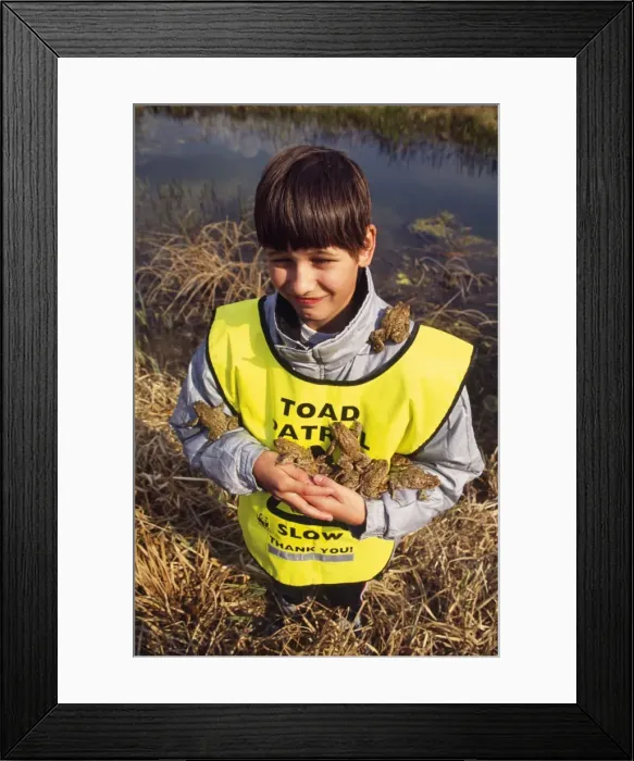 Framed Print : Picture No. 10734313 Framed Print : Picture No. 10734313