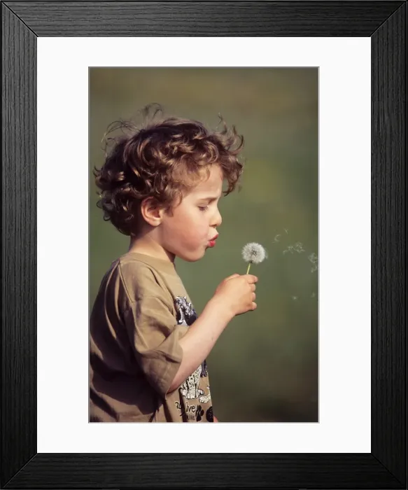 Framed Print : Picture No. 10734384 Framed Print : Picture No. 10734384