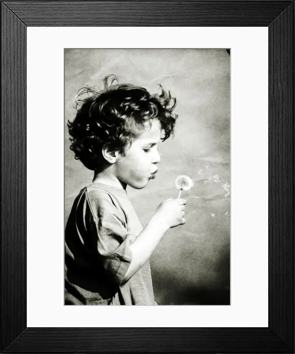 Framed Print : Picture No. 10734385 Framed Print : Picture No. 10734385