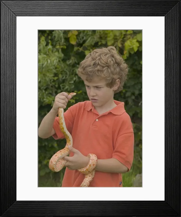 Framed Print : Picture No. 10734614 Framed Print : Picture No. 10734614