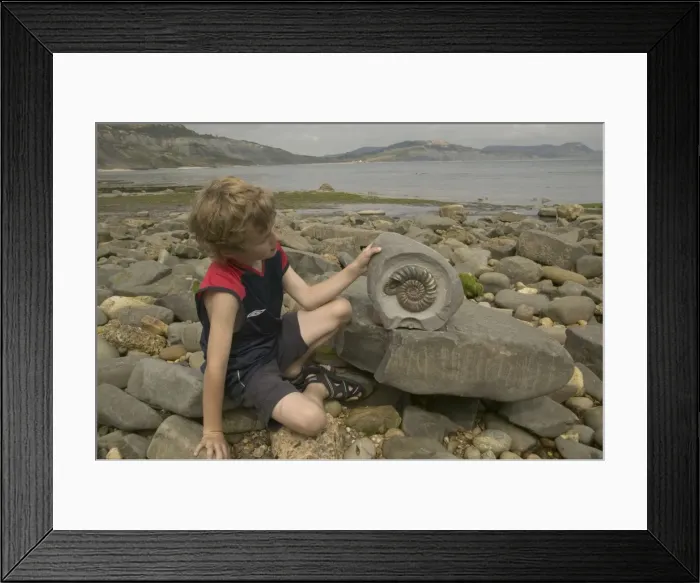 Framed Print : Picture No. 10734727 Framed Print : Picture No. 10734727