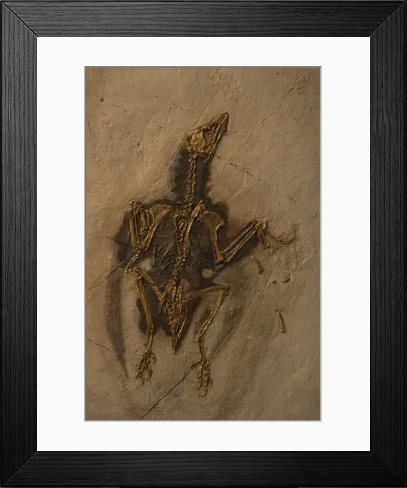 Framed Print : Picture No. 10734720 Framed Print : Picture No. 10734720