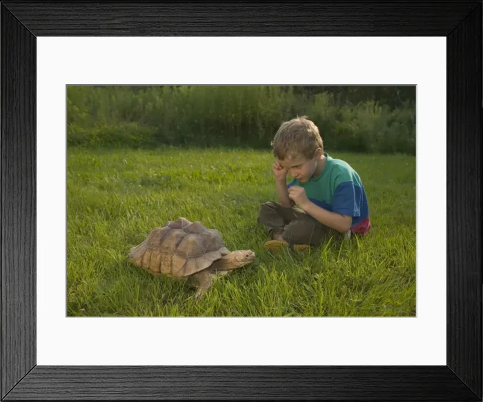 Framed Print : Picture No. 10734726 Framed Print : Picture No. 10734726