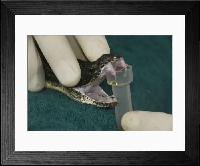 Framed Print : Picture No. 10734737 Framed Print : Picture No. 10734737